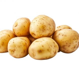 Potato Organic Potato Organic