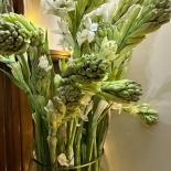 Rajnigandha 10 Stems 