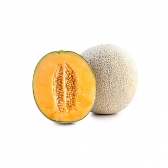 Muskmelon Bobby 