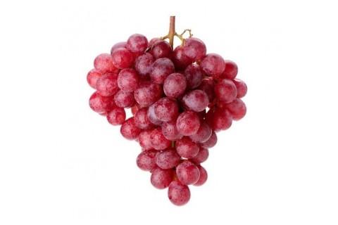 International Fruits 