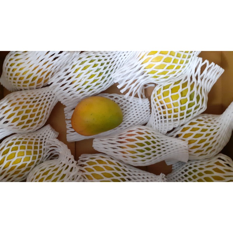 Delicious Ratnagiri Alphonso Fresh, Delicious and Exotic Order Now!