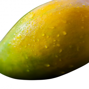 hover image