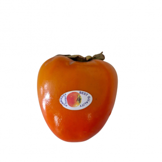Persimmon RamPhal semi ripe 