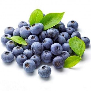 BlueBerries Premium 