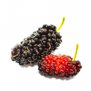 Mulberries Fresh ( Black/ Red/ Green) 