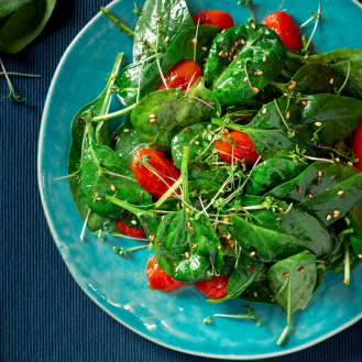 Salad Microgreens - More Power to you