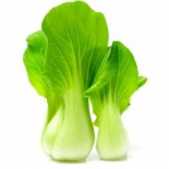 PokChoy ( Hydroponic ) PokChoy ( Hydroponic )
