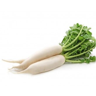 Mooli Radiish ( Organically Grown) 
