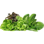 Lettuce Basket 