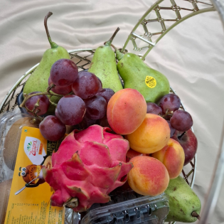 Fruit Basket Imported