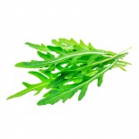 Rocket/ Arugula Leaves Rocket/ Arugula Leaves