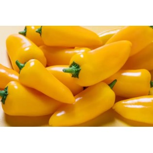 Peppers Sweet (Mix Colour) 
